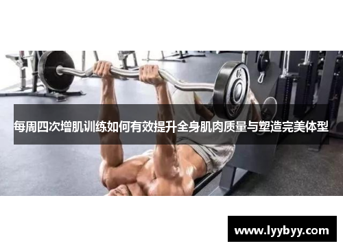 每周四次增肌训练如何有效提升全身肌肉质量与塑造完美体型