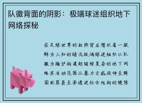 队徽背面的阴影：极端球迷组织地下网络探秘